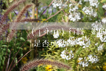 進(jìn)行假離婚的離婚協(xié)議是否可以撤銷？